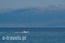 Logga Beach_s __1