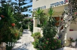 Montemar Studios & Apartments in Karpathos Chora, Karpathos, Dodekanessos Islands