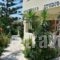 Montemar Studios & Apartments_accommodation_in_Apartment_Dodekanessos Islands_Karpathos_Karpathosora