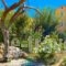 Alkyon Apartments & Villas Hotel_holidays_in_Villa_Ionian Islands_Lefkada_Lefkada Rest Areas