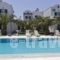 Louis Studios Santorini_best deals_Hotel_Cyclades Islands_Sandorini_kamari