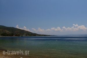 Vergina_best deals_Hotel_Central Greece_Evia_Edipsos
