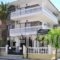 Dionisos Palms Apartments_accommodation_in_Apartment_Macedonia_Halkidiki_Paralia Dionysou