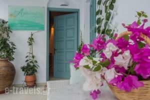 Aphrodite Studios_lowest prices_in_Hotel_Dodekanessos Islands_Astipalea_Livadia