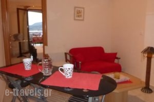 Studio Anesis_lowest prices_in_Hotel_Piraeus Islands - Trizonia_Aigina_Agia Marina