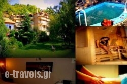 Alkyonis Hotel & Spa in Aridea, Pella, Macedonia