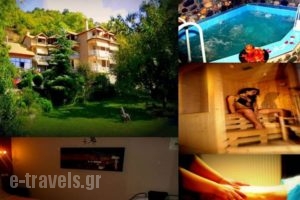 Alkyonis Hotel & Spa_accommodation_in_Hotel_Macedonia_Pella_Aridea