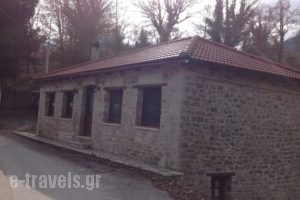Villa Acroria_accommodation_in_Villa_Central Greece_Evritania_Megalo Chorio