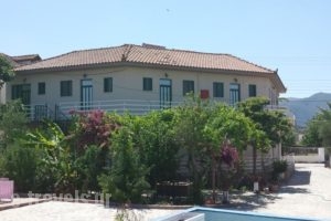 Zante Nest Studios & Apartments_holidays_in_Apartment_Ionian Islands_Zakinthos_Alikanas
