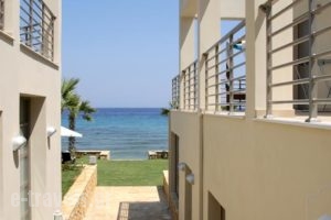 Palatia Caeli_accommodation_in_Hotel_Ionian Islands_Zakinthos_Laganas