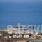 Blue Beach Villas Apartments_holidays_in_Villa_Crete_Chania_Chania City