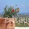 Dalabelos Estate_lowest prices_in_Hotel_Crete_Rethymnon_Mylopotamos