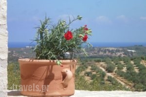 Dalabelos Estate_accommodation_in_Hotel_Crete_Rethymnon_Mylopotamos
