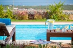Carobee Villa_s __1