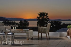 Galaxy Hotel_accommodation_in_Hotel_Cyclades Islands_Naxos_Naxos Chora