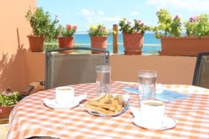Akrogiali Hotel_best deals_Hotel_Aegean Islands_Lesvos_Plomari