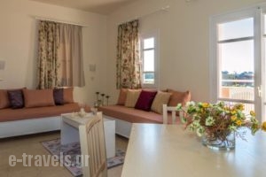 Manolis Apartments_best deals_Apartment_Crete_Heraklion_Malia