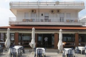 Hotel Anemos_accommodation_in_Hotel_Macedonia_Thessaloniki_Thessaloniki City