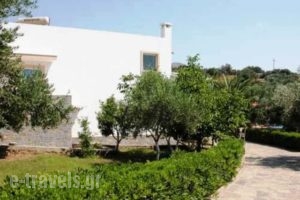 Primavera Paradise Apartments_lowest prices_in_Apartment_Crete_Lasithi_Aghios Nikolaos