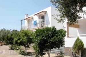 Primavera Paradise Apartments_best prices_in_Apartment_Crete_Lasithi_Aghios Nikolaos