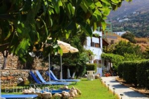 Studios Marfo_lowest prices_in_Hotel_Cyclades Islands_Andros_Andros City