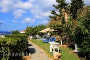 Studios Marfo_best deals_Hotel_Cyclades Islands_Andros_Andros City