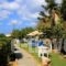Studios Marfo_best deals_Hotel_Cyclades Islands_Andros_Andros City