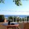 Studios Marfo_holidays_in_Hotel_Cyclades Islands_Andros_Andros City