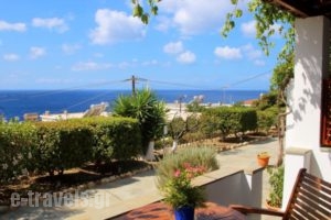Studios Marfo_accommodation_in_Hotel_Cyclades Islands_Andros_Andros City