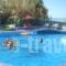 Trefon Apartment Hotel_best prices_in_Apartment_Crete_Rethymnon_Rethymnon City