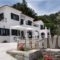 Eri Rooms To Let_accommodation_in_Room_Aegean Islands_Ikaria_Raches