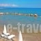 Palatia Caeli_lowest prices_in_Hotel_Ionian Islands_Zakinthos_Laganas
