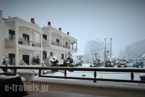 Eliton Hotel & Spa_best prices_in_Hotel_Macedonia_Pella_Aridea