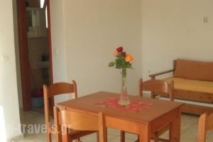 Giorgos Apartments_lowest prices_in_Apartment_Crete_Chania_Palaeochora