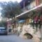 Skafidakia_holidays_in_Hotel_Thessaly_Magnesia_Pilio Area