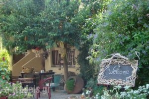 Zaira Studios_best prices_in_Hotel_Aegean Islands_Lesvos_Skala Eressou