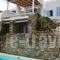 Villa Lair_accommodation_in_Villa_Cyclades Islands_Mykonos_Mykonos st Areas