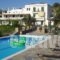 Vassiliki Studios_accommodation_in_Hotel_Cyclades Islands_Andros_Andros City