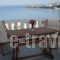 Vassiliki Studios_best prices_in_Hotel_Cyclades Islands_Andros_Andros City