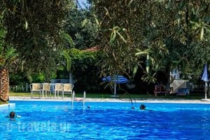 Thalero Holidays Center_holidays_in_Hotel_Ionian Islands_Lefkada_Lefkada Rest Areas
