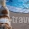 Albatross Apartments_travel_packages_in_Crete_Heraklion_Ammoudara