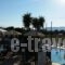 Venus Hotel_best prices_in_Hotel_Ionian Islands_Zakinthos_Laganas