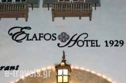 Elafos Hotel_s __1