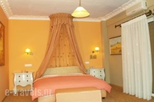 Hotel Amfissaeum_best prices_in_Hotel_Central Greece_Fokida_Amfissa
