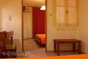 Hotel Orfeas_lowest prices_in_Hotel_Central Greece_Fokida_Delfi