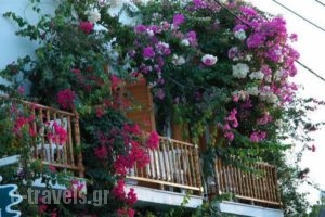 Arian Hotel_lowest prices_in_Hotel_Cyclades Islands_Paros_Paros Chora