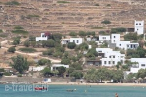 Petra Holiday Village_best prices_in_Hotel_Cyclades Islands_Ios_Koumbaras