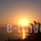 Anatoli_best prices_in_Hotel_Thessaly_Magnesia_Agios Georgios Nilias