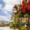 Hotel Ziakis_best prices_in_Hotel_Dodekanessos Islands_Rhodes_Pefki