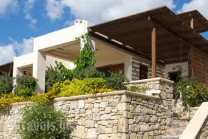 Natica Mare Villas_best prices_in_Villa_Crete_Lasithi_Sitia